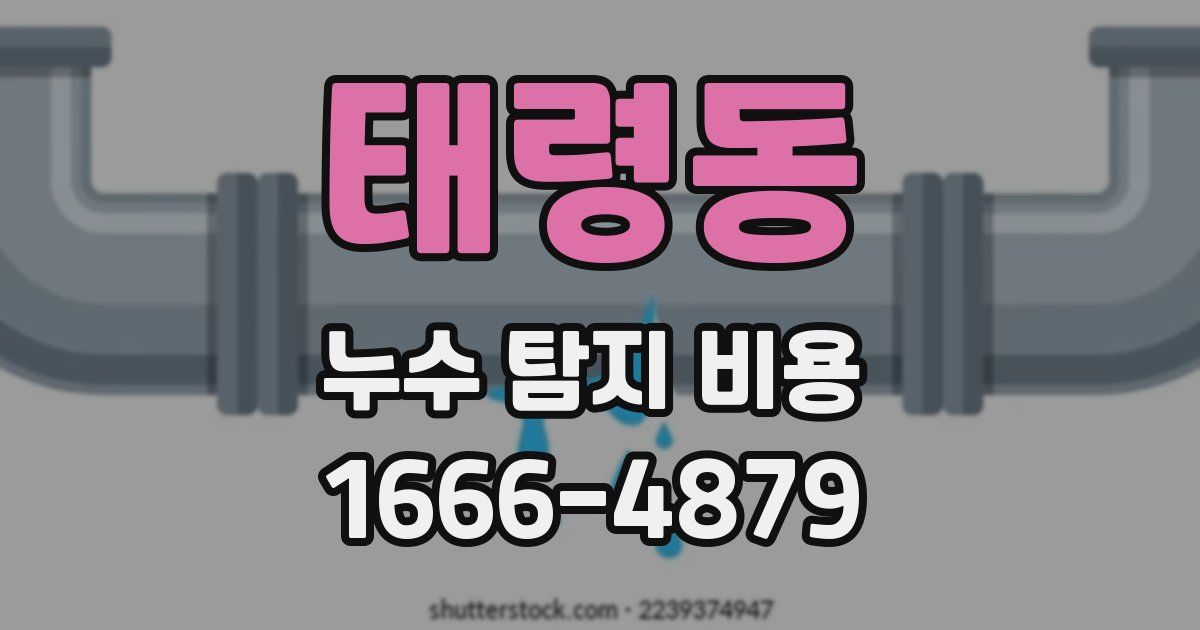 태령동 누수 탐지 비용