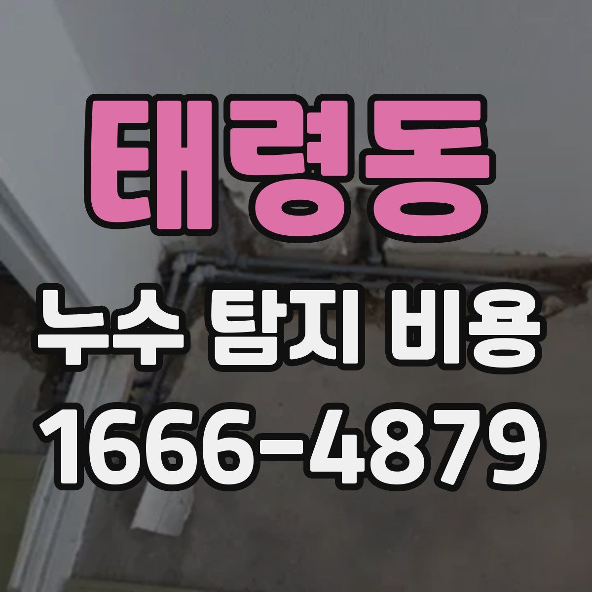 태령동 누수 탐지 비용