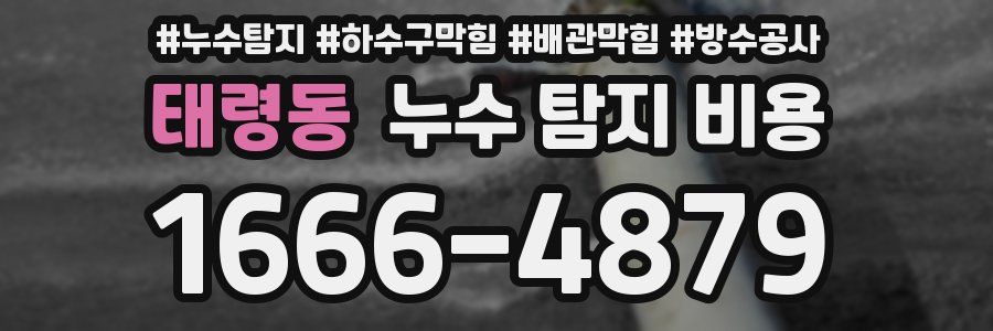 태령동 누수 탐지 비용