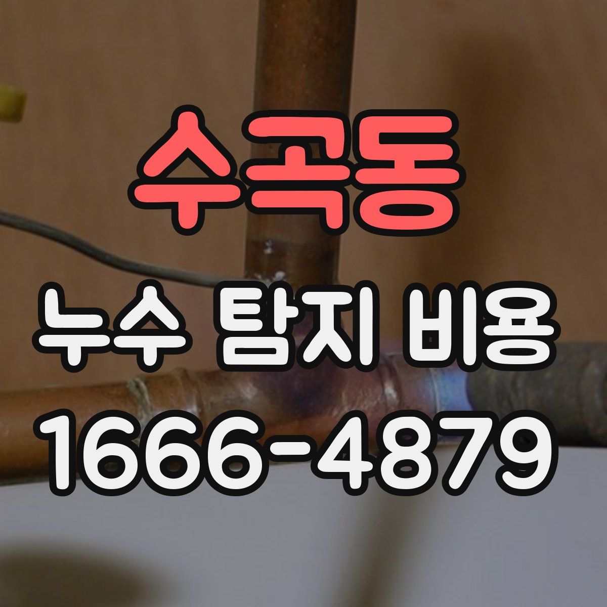 수곡동 누수 탐지 비용
