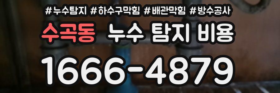 수곡동 누수 탐지 비용