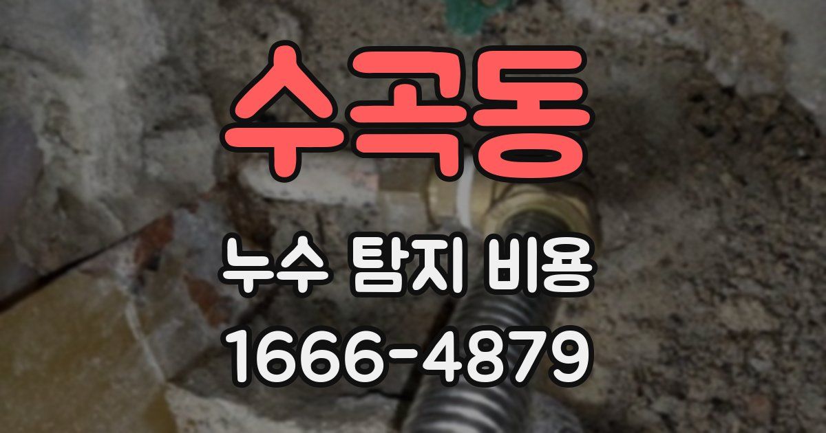 수곡동 누수 탐지 비용