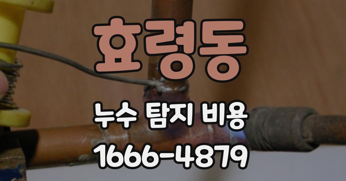 효령동 누수 탐지 비용