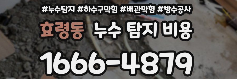 효령동 누수 탐지 비용