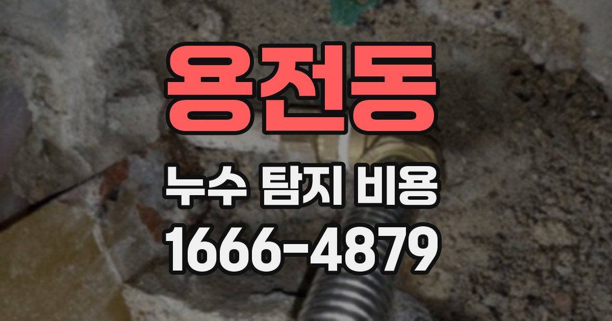 용전동 누수 탐지 비용