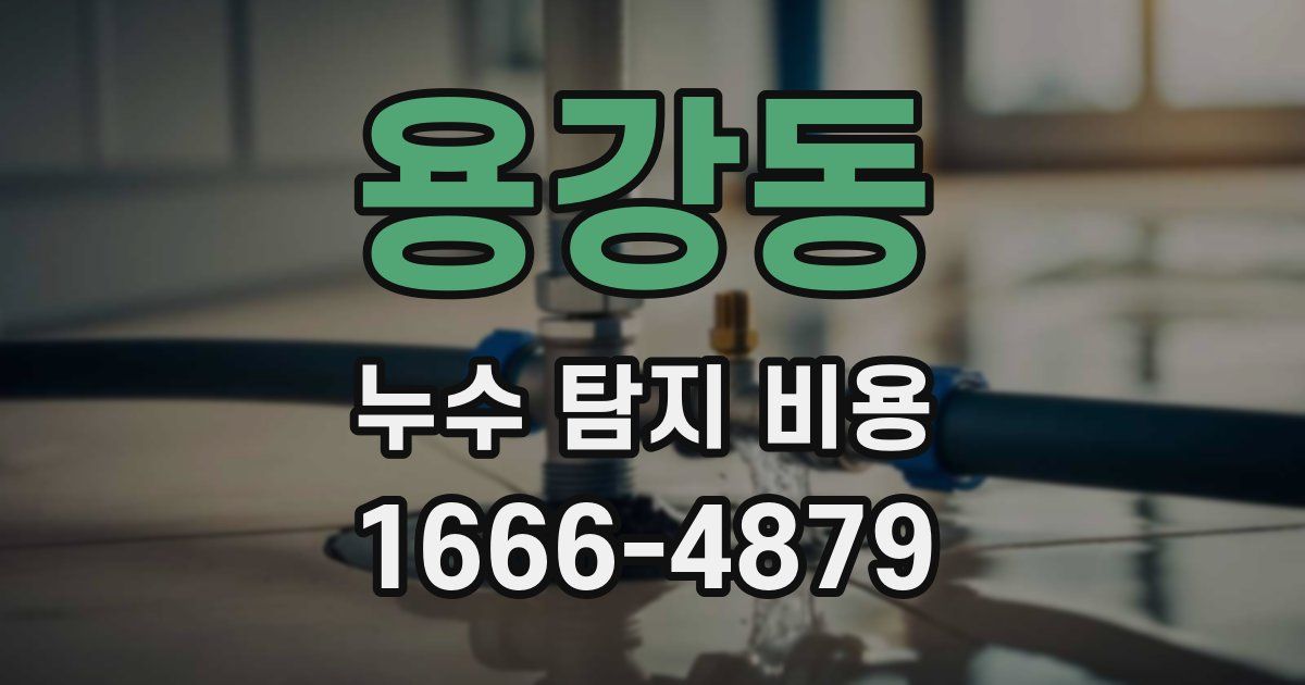 용강동 누수 탐지 비용