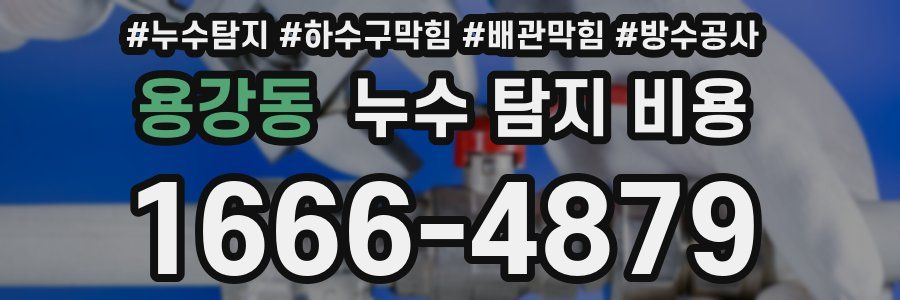 용강동 누수 탐지 비용