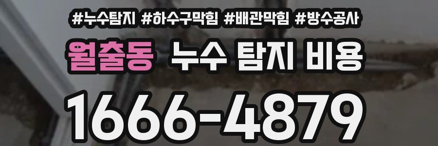 월출동 누수 탐지 비용