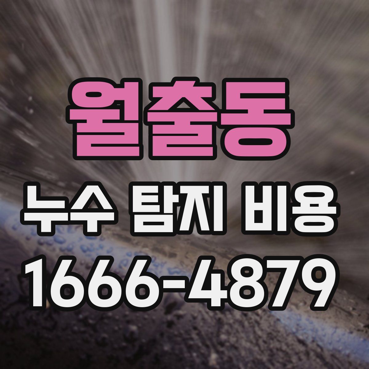 월출동 누수 탐지 비용