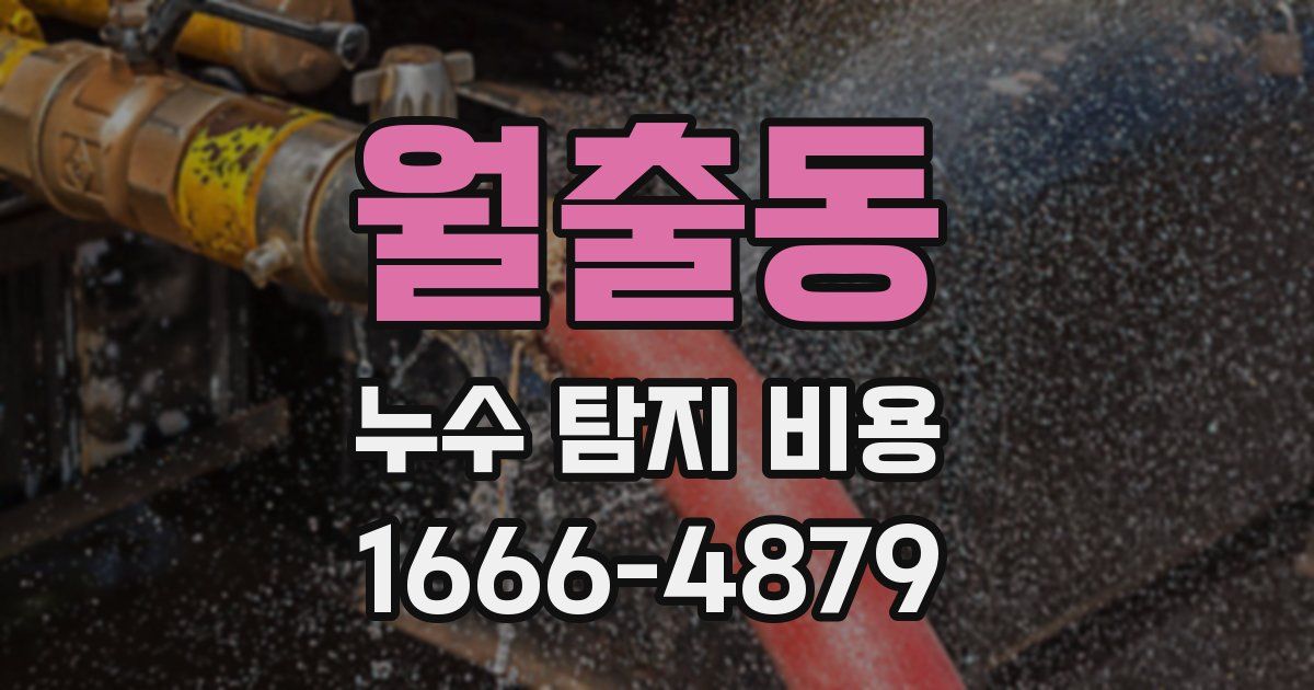 월출동 누수 탐지 비용