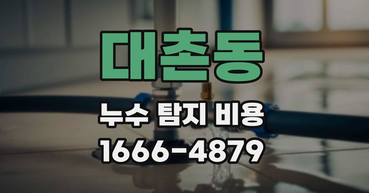 대촌동 누수 탐지 비용