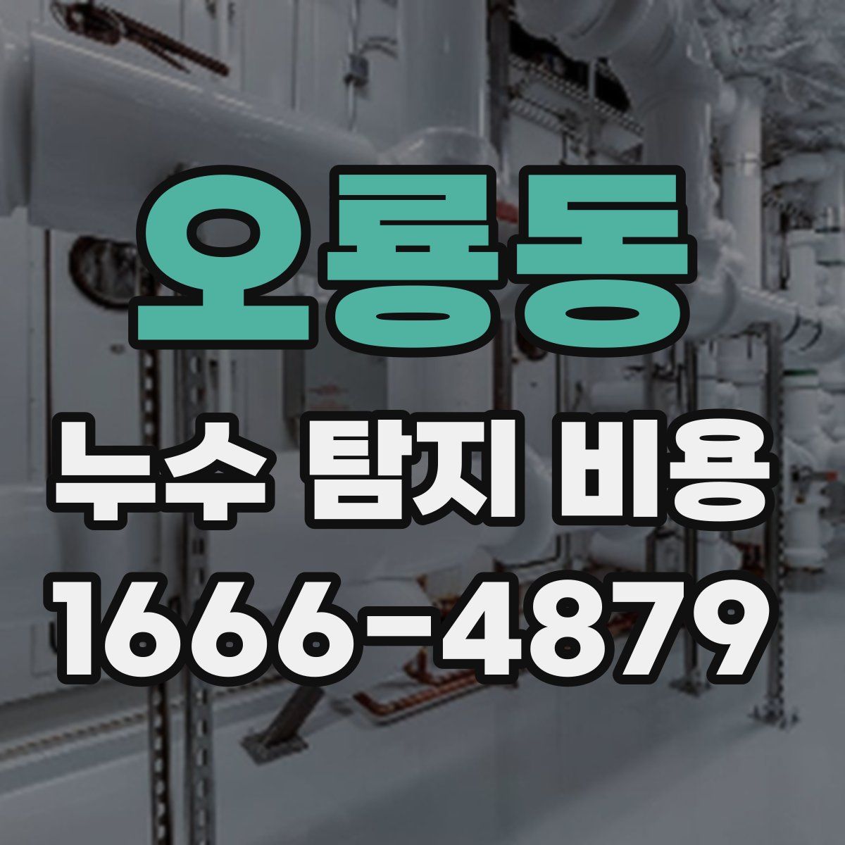 오룡동 누수 탐지 비용