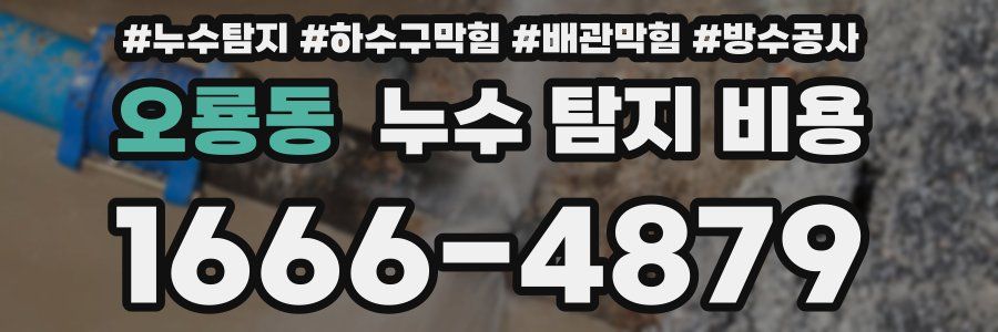 오룡동 누수 탐지 비용