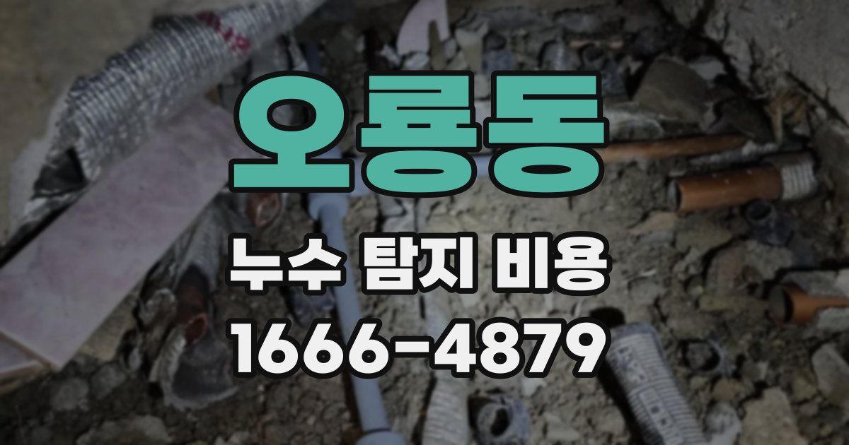 오룡동 누수 탐지 비용