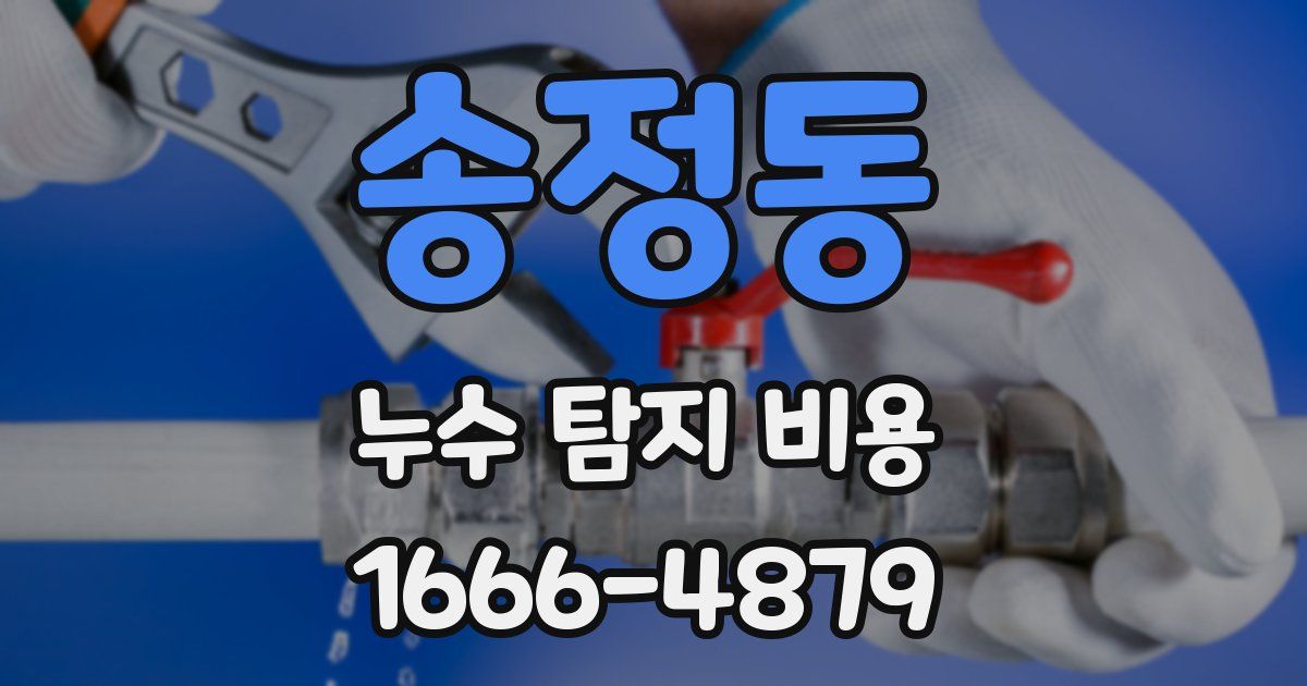 송정동 누수 탐지 비용
