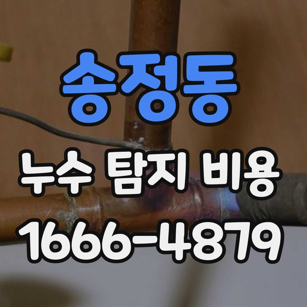 송정동 누수 탐지 비용