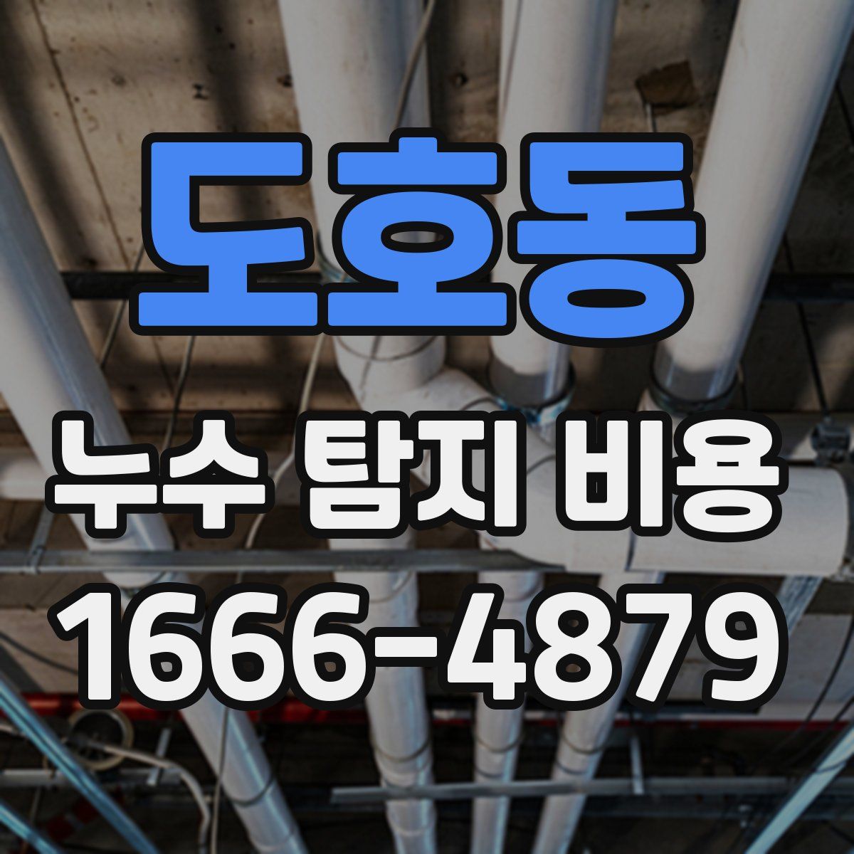 도호동 누수 탐지 비용