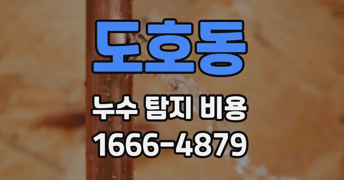 도호동 누수 탐지 비용