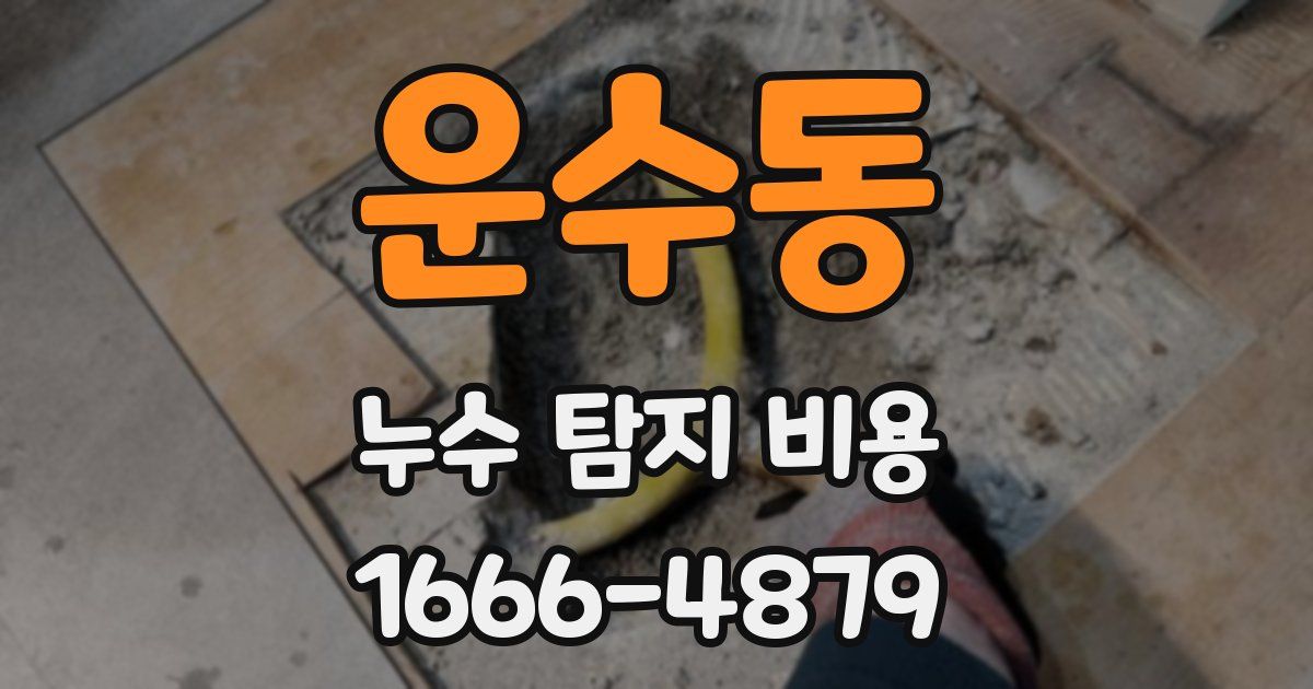 운수동 누수 탐지 비용