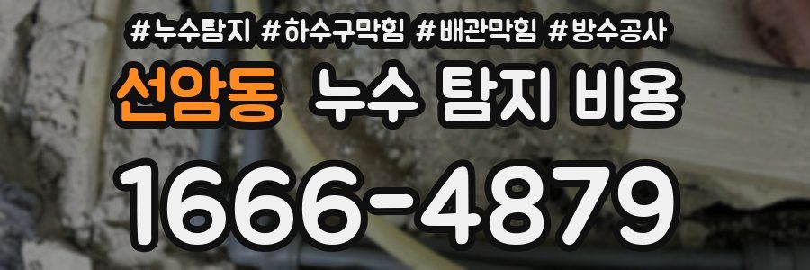 선암동 누수 탐지 비용