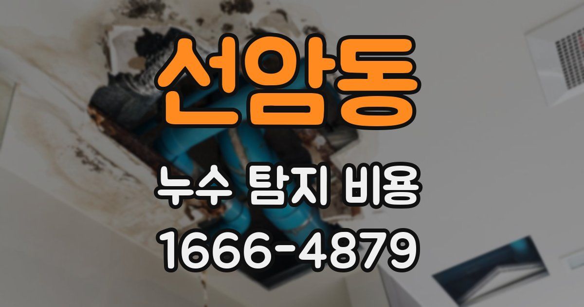 선암동 누수 탐지 비용