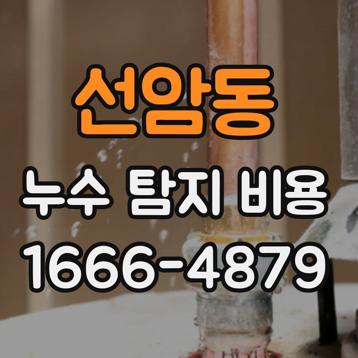 선암동 누수 탐지 비용