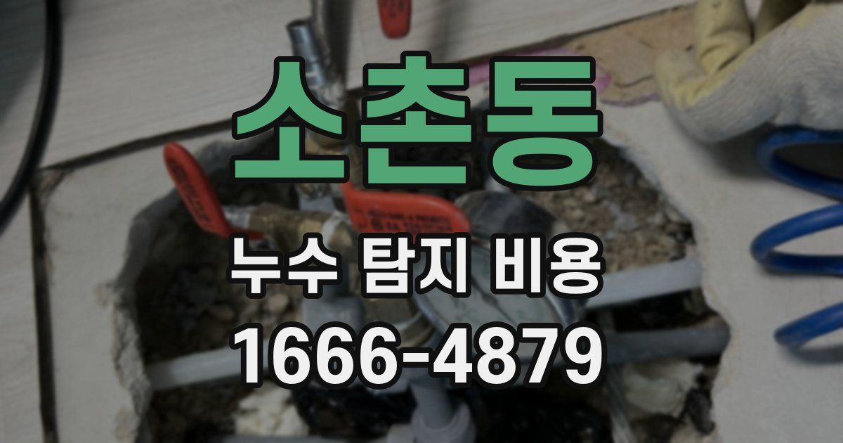 소촌동 누수 탐지 비용