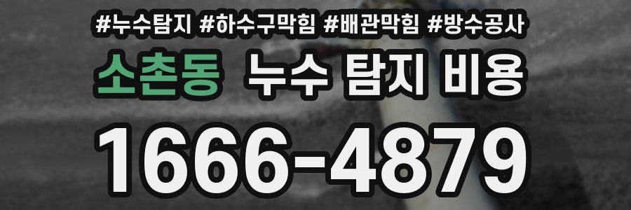 소촌동 누수 탐지 비용