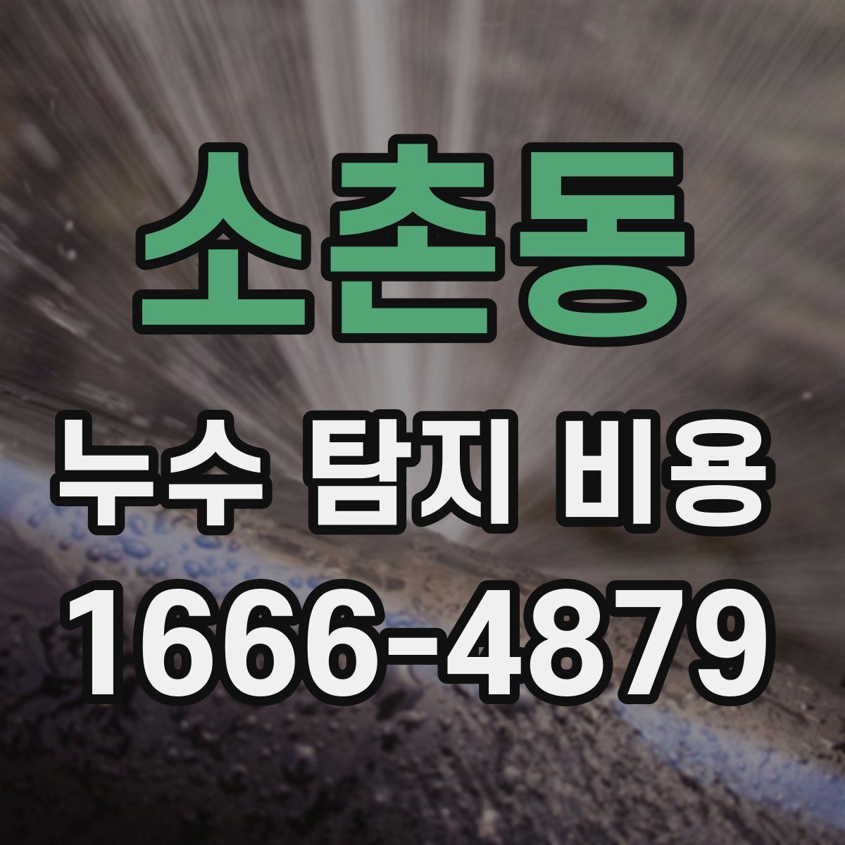 소촌동 누수 탐지 비용