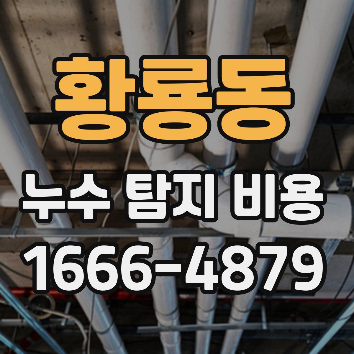황룡동 누수 탐지 비용