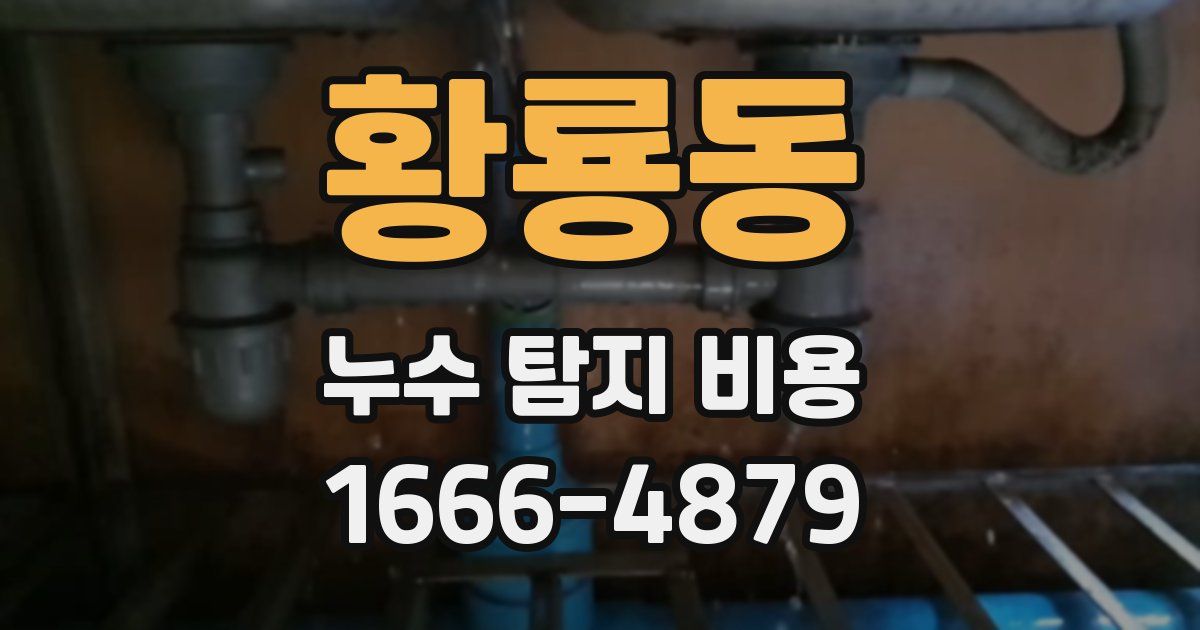 황룡동 누수 탐지 비용