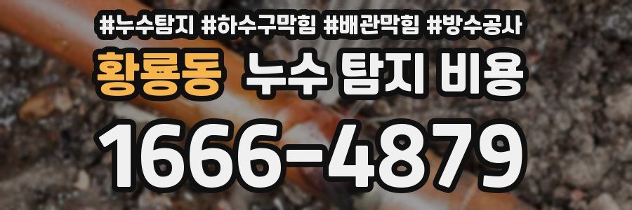황룡동 누수 탐지 비용