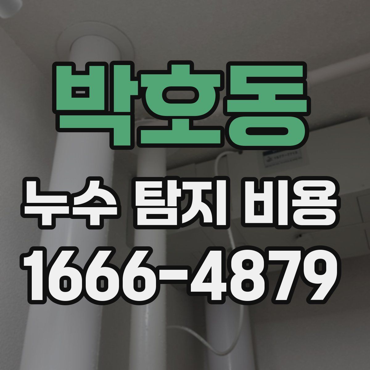 박호동 누수 탐지 비용
