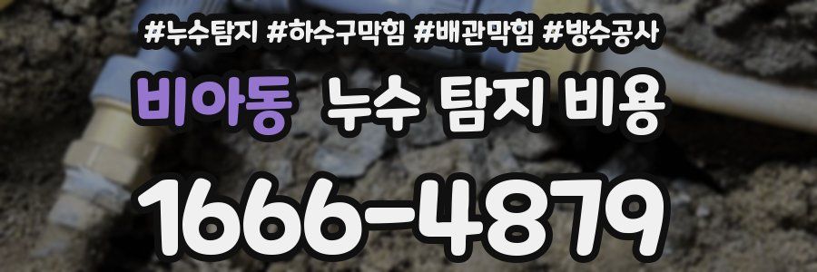 비아동 누수 탐지 비용