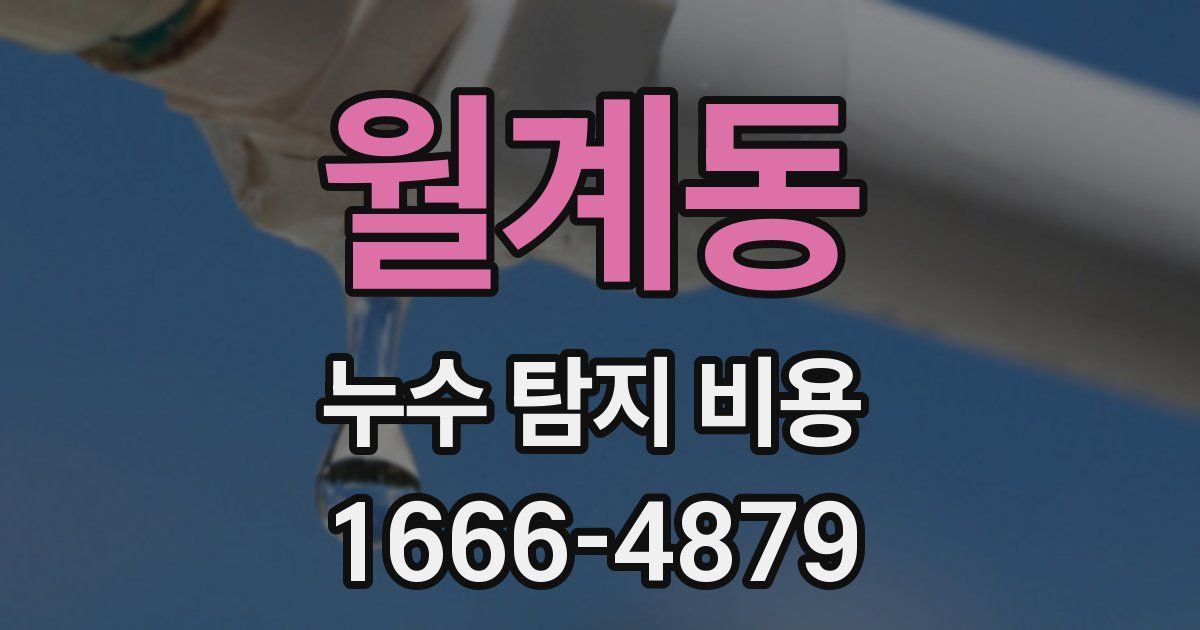 월계동 누수 탐지 비용