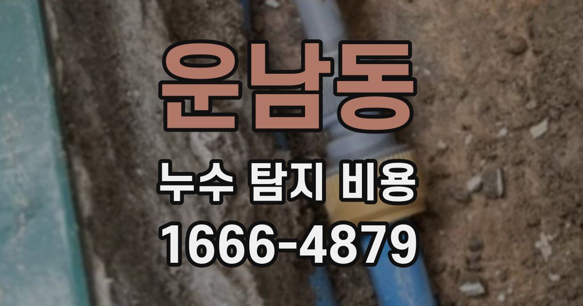 운남동 누수 탐지 비용