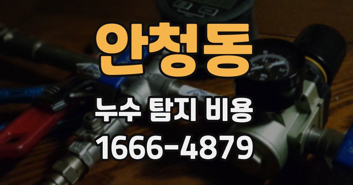 안청동 누수 탐지 비용