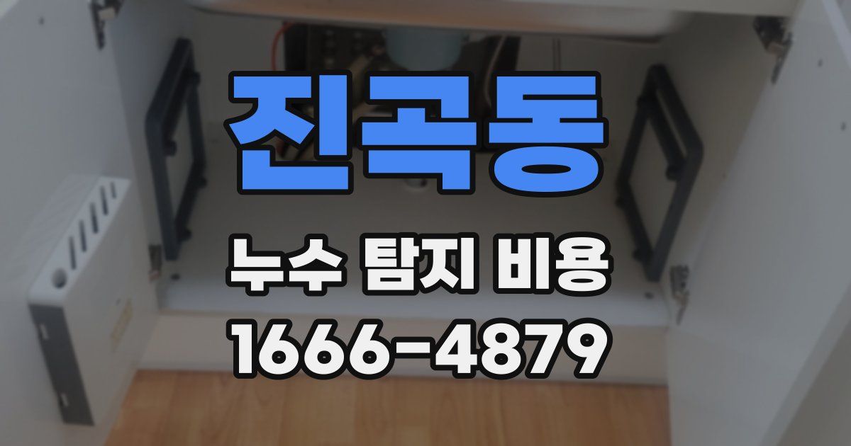진곡동 누수 탐지 비용
