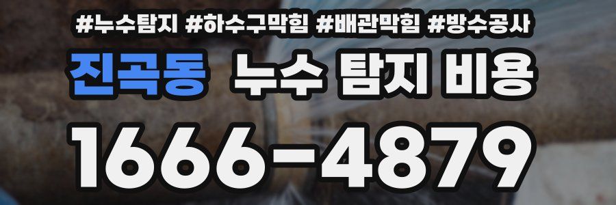 진곡동 누수 탐지 비용