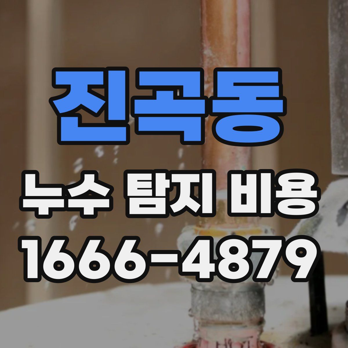 진곡동 누수 탐지 비용