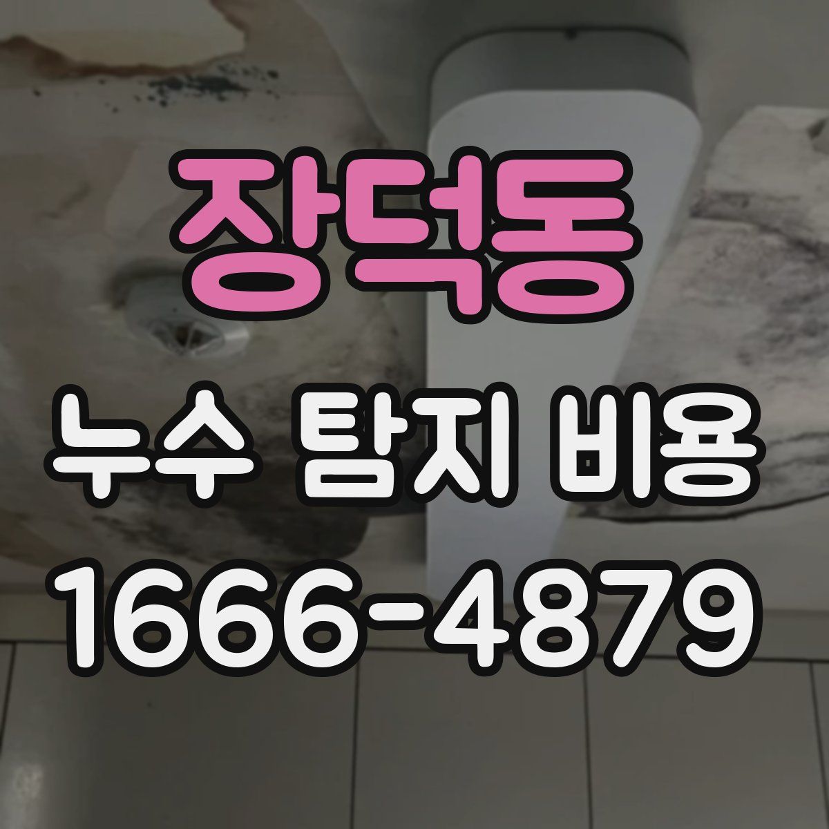 장덕동 누수 탐지 비용