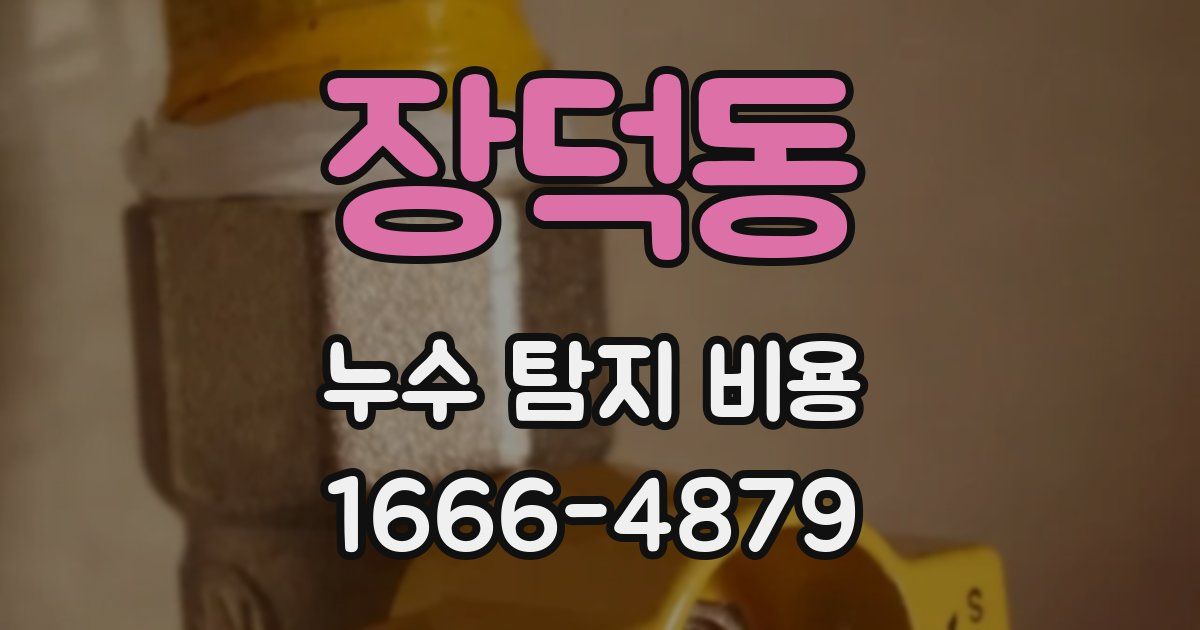 장덕동 누수 탐지 비용