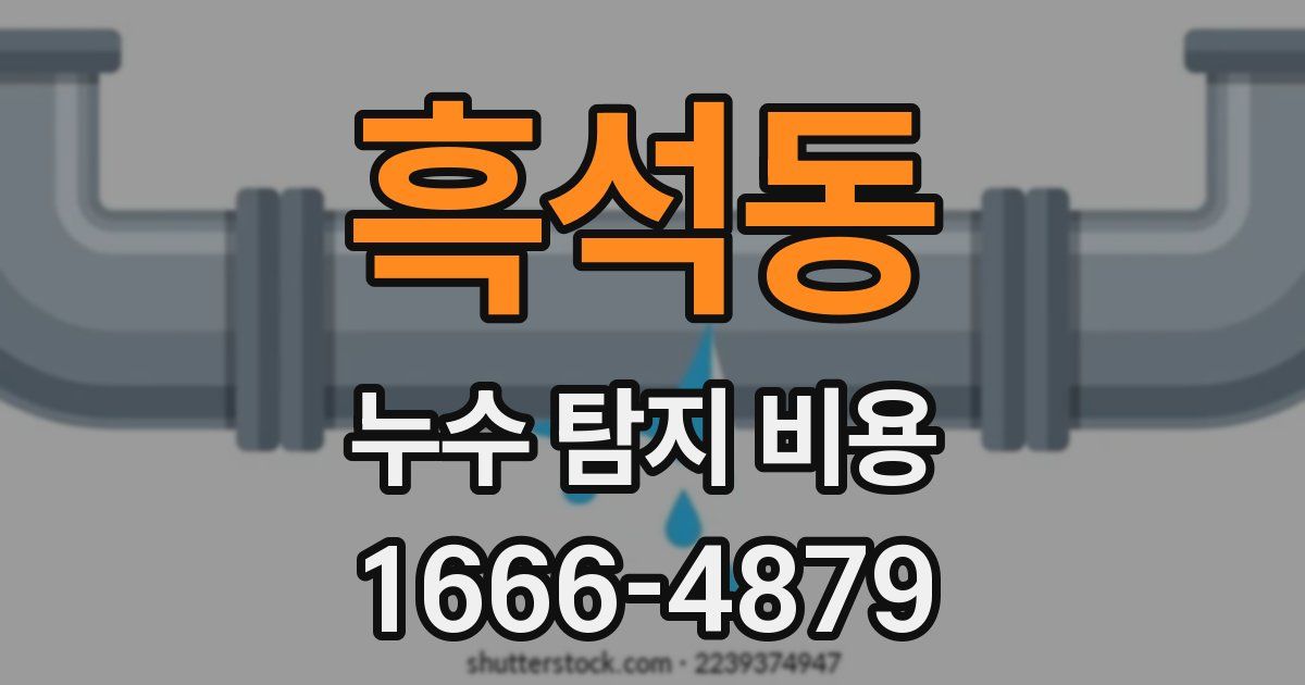 흑석동 누수 탐지 비용