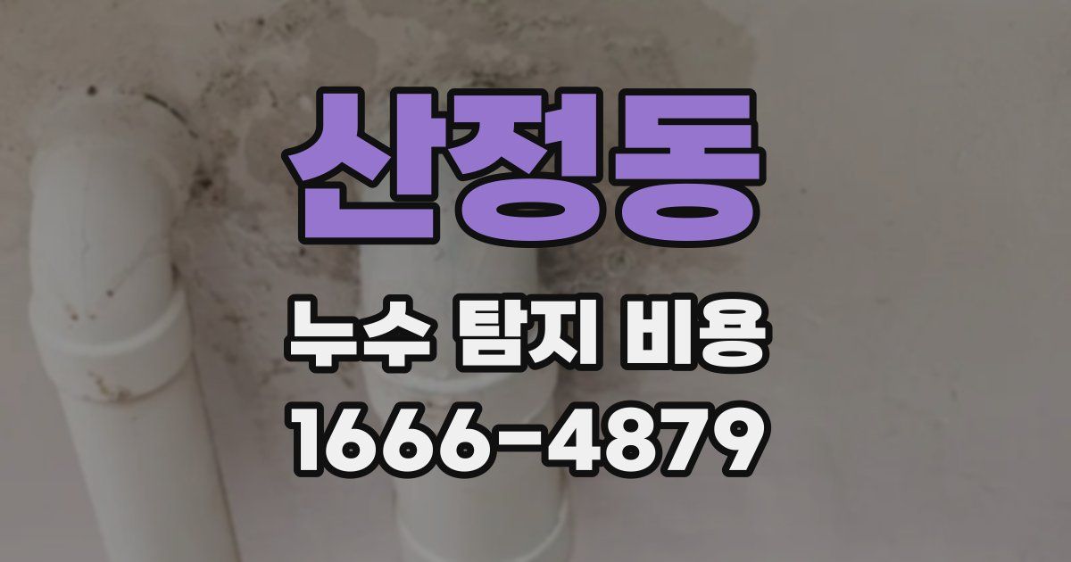 산정동 누수 탐지 비용