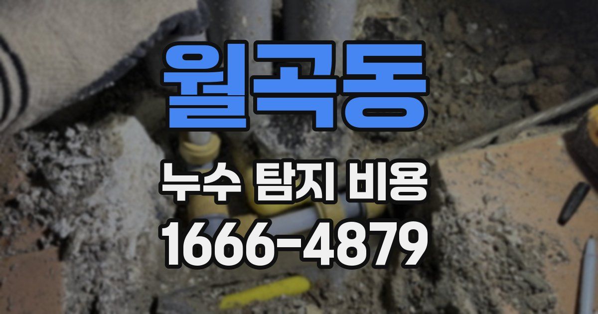 월곡동 누수 탐지 비용