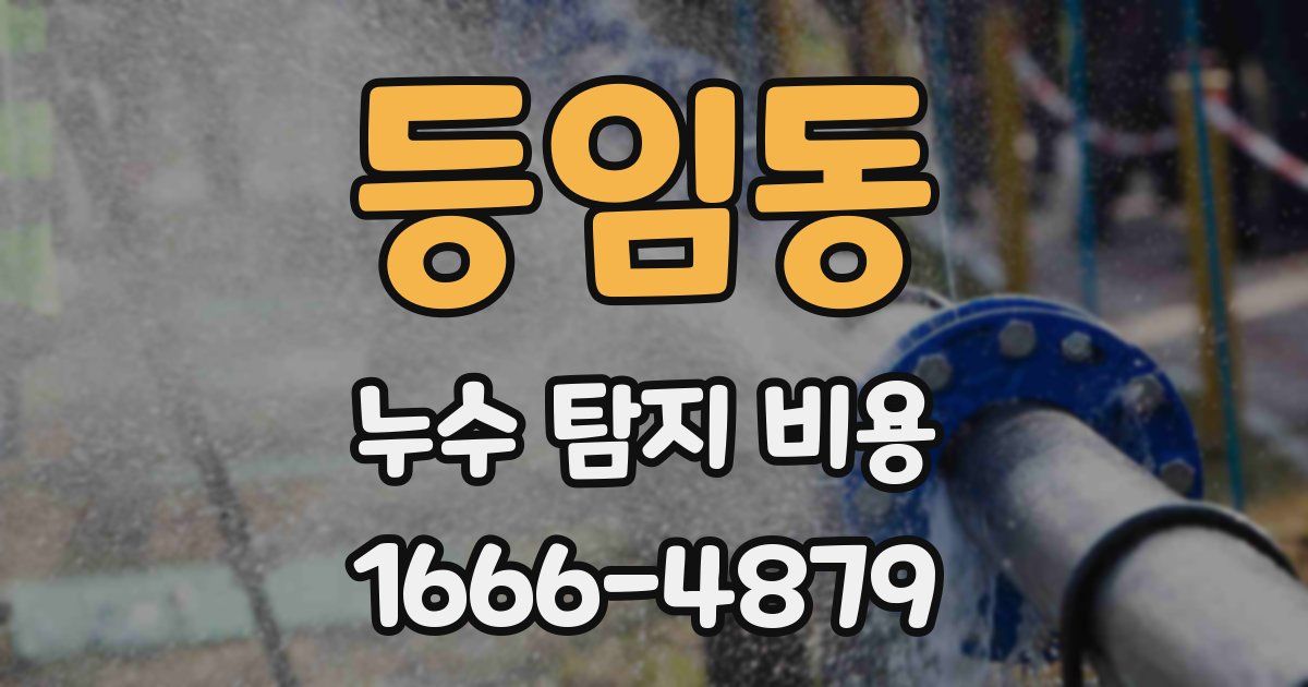 등임동 누수 탐지 비용