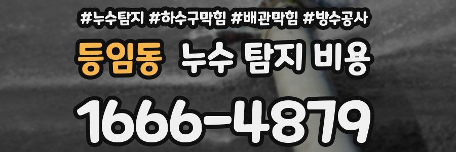 등임동 누수 탐지 비용