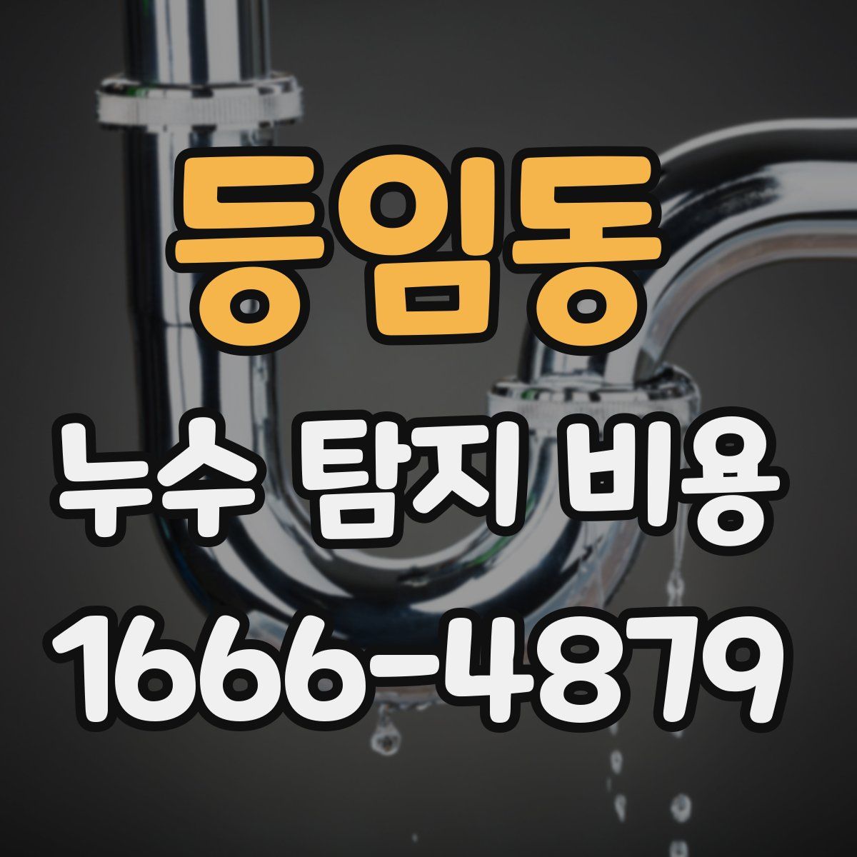 등임동 누수 탐지 비용
