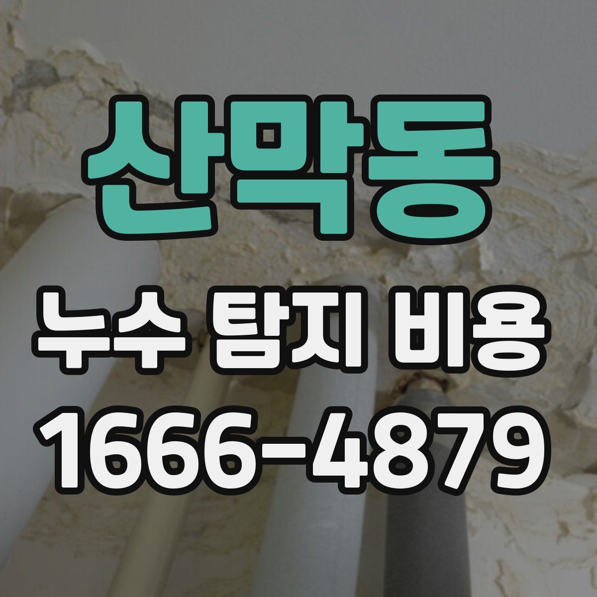 산막동 누수 탐지 비용