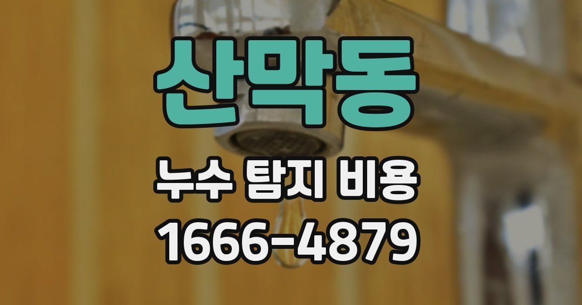 산막동 누수 탐지 비용